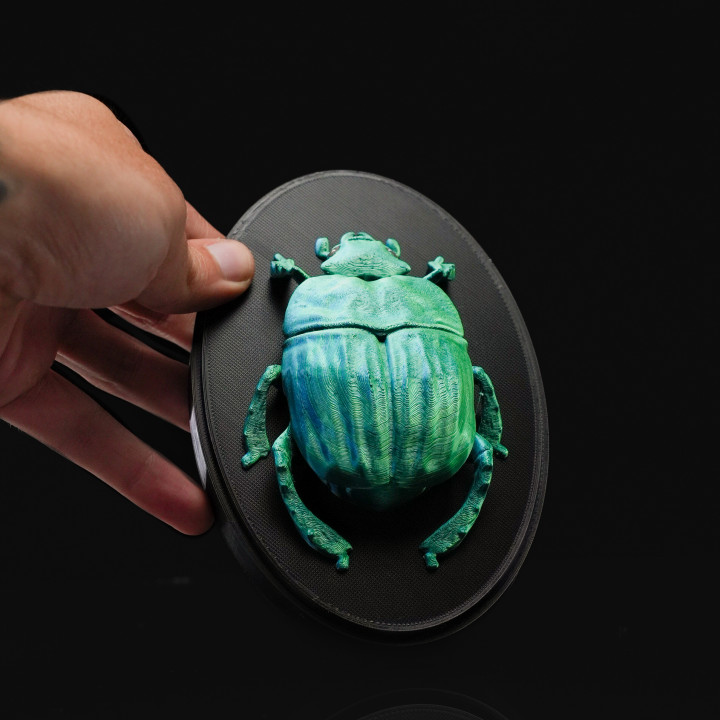 Beetles on the Wall — Scarab image