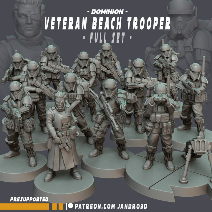 June -Veteran Beach Troopers -Full Set image
