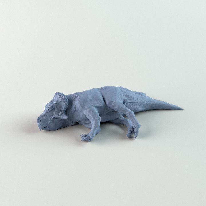 Leptoceratops sleeping 1-35 scale pre-supported dinosaur image