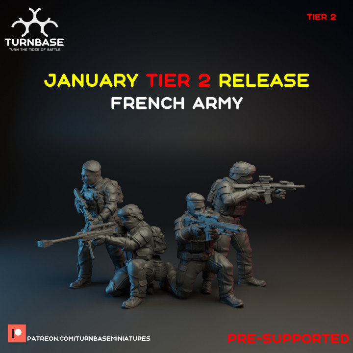 TurnBase Miniatures: Wargames - French army image