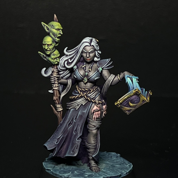 Reina The Outcast Sorceress [PRE-SUPPORTED] Female Human image