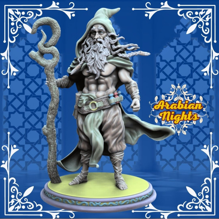 Druid Playable Character image