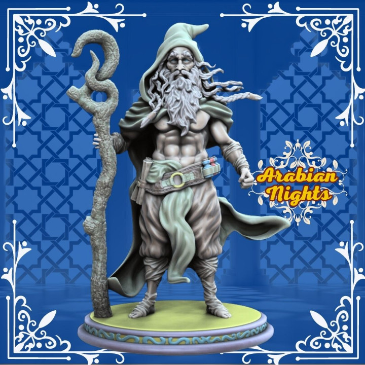 Druid Playable Character image