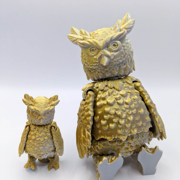 Flexi Owl image