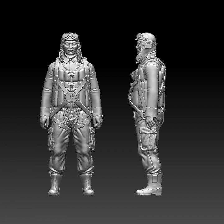 japan pilot