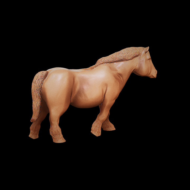 Farm Animals #3