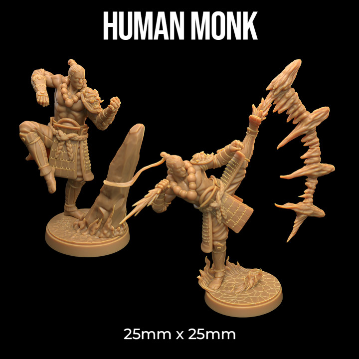 Human Monk | PRESUPPORTED | Masters of The Elements image