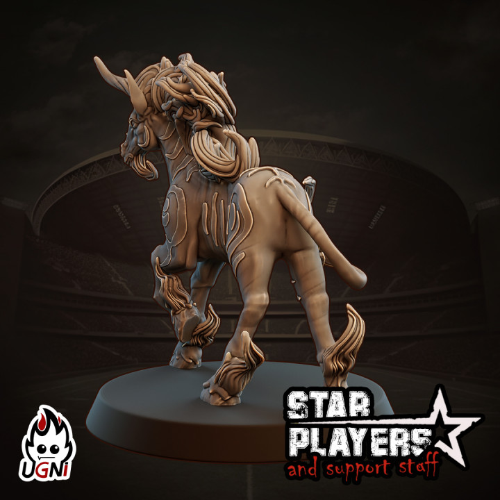 Lucky Leia - Star Player image