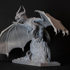 Picture of print of big dragon
