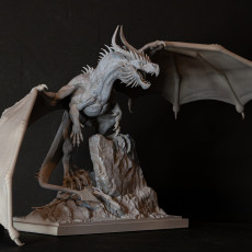 Picture of print of big dragon