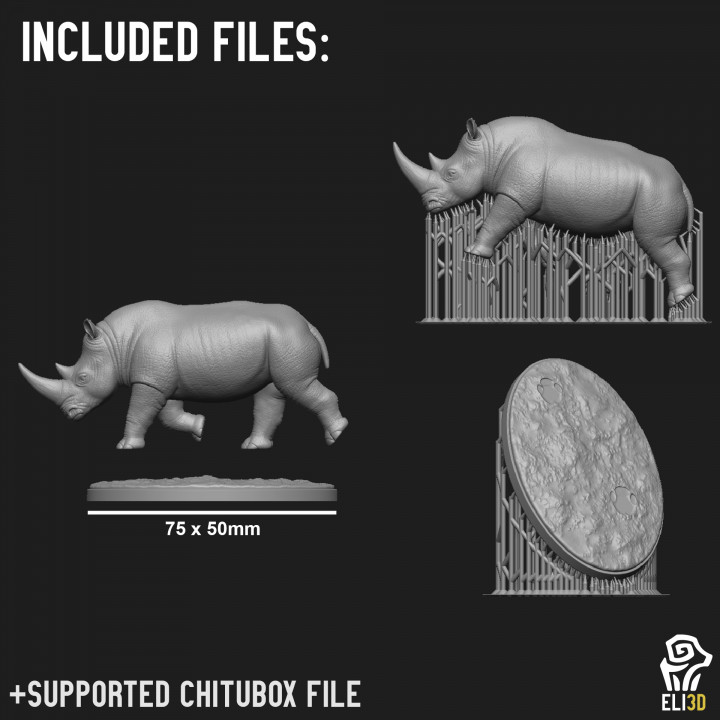 Rhino - Animal