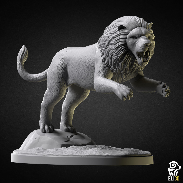 Lion image