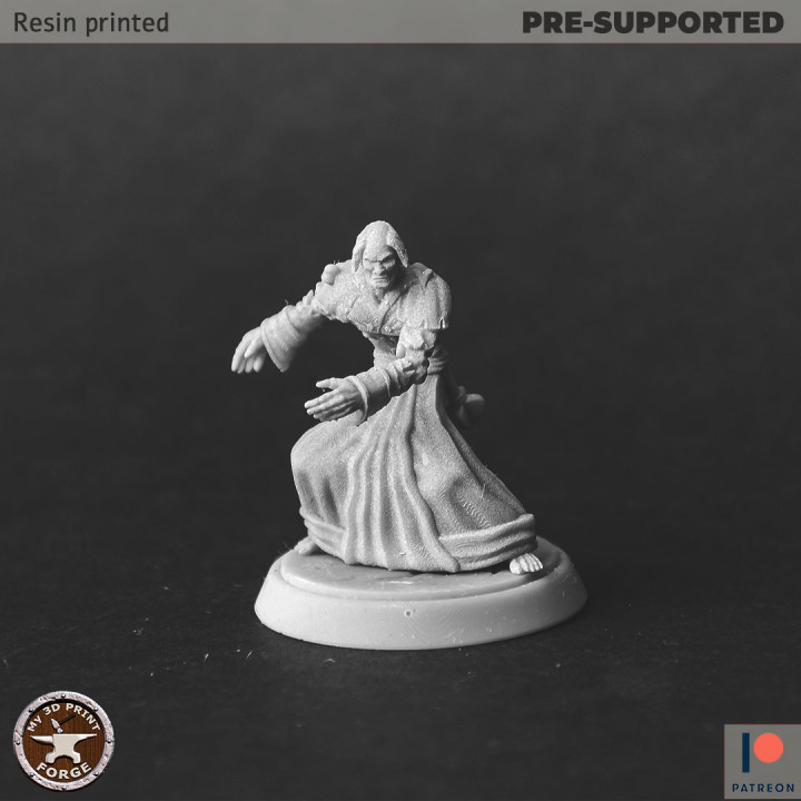 Undead Priest Two models