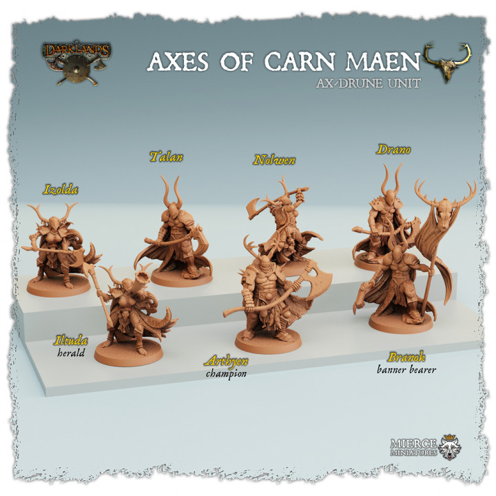 Ysian Axes of Carn Maen, Ax-Drune Unit image
