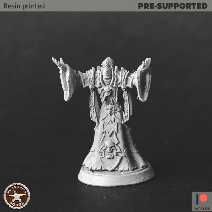Undead Acolyte Praying image