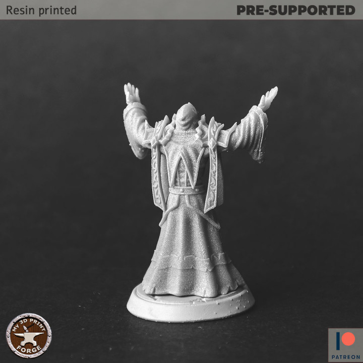 Undead Acolyte Praying image