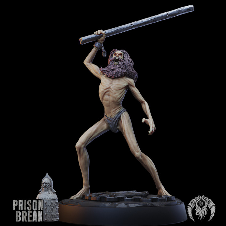 Prison Break: Miniatures Collection image