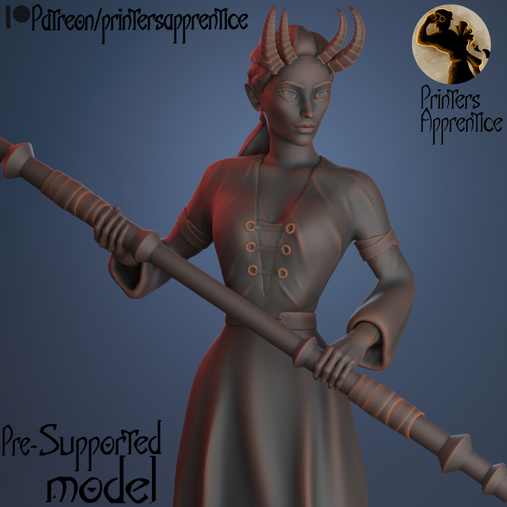Tiefling Warrior Pose| Pre-supported mini | 30mm | image