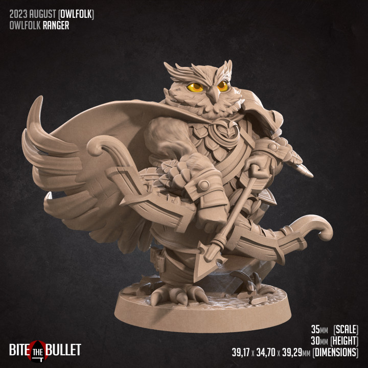 Owlfolk Ranger image