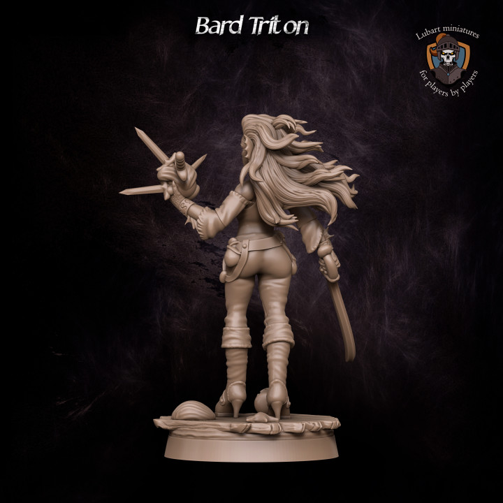 Bard Triton image