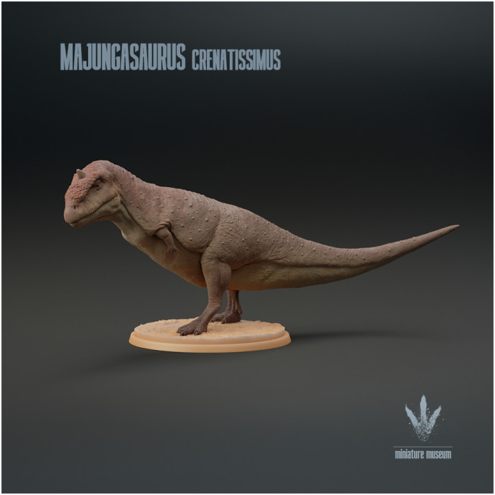 Majungasaurus crenatissimus : Mahajanga Lizard image