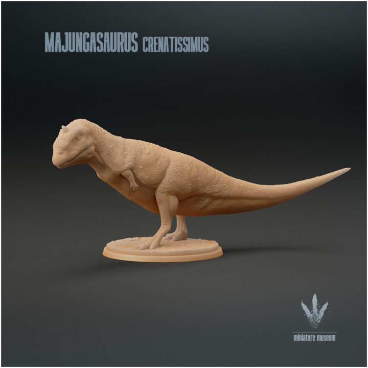 Majungasaurus crenatissimus : Mahajanga Lizard image