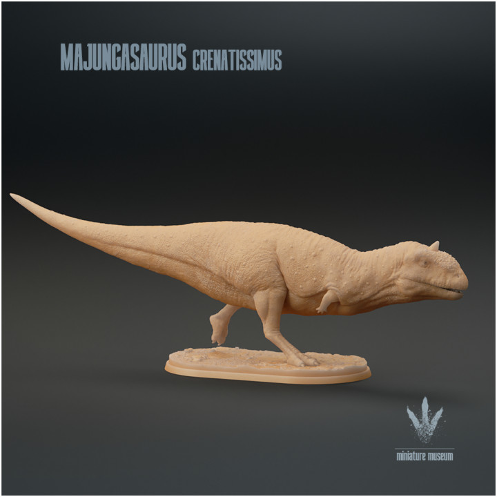 Majungasaurus crenatissimus : Run image