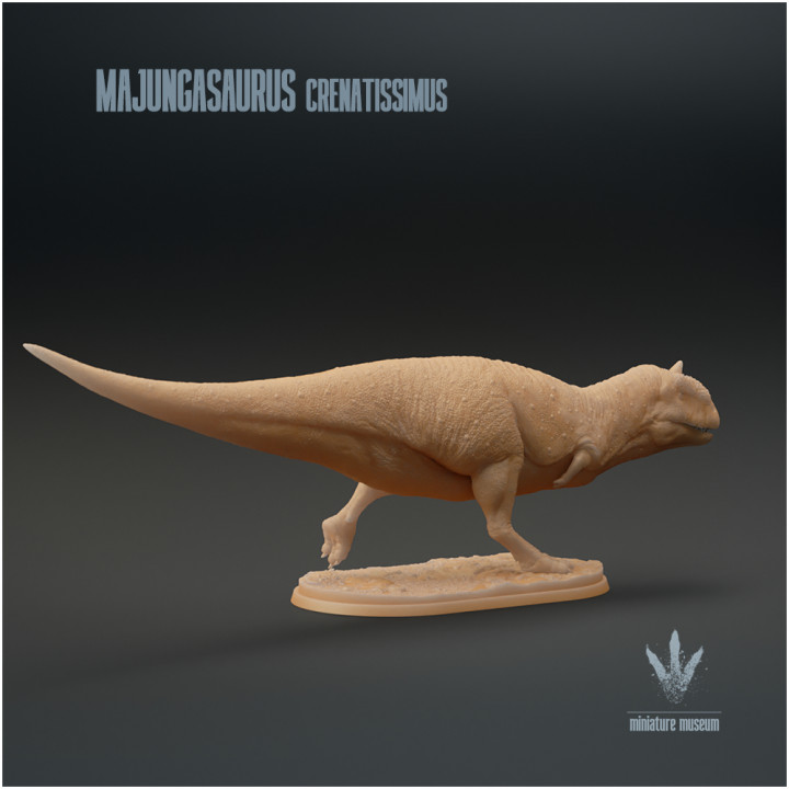 Majungasaurus crenatissimus : Run image