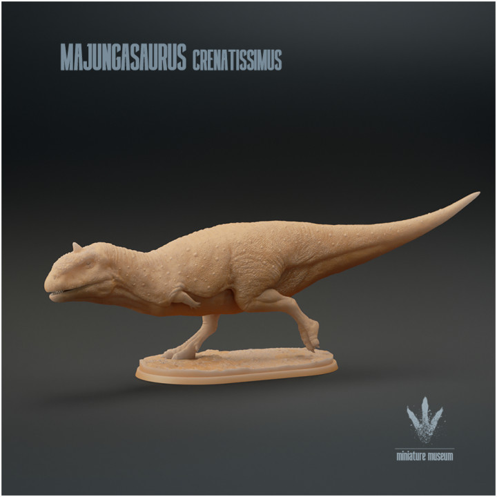 Majungasaurus crenatissimus : Run image