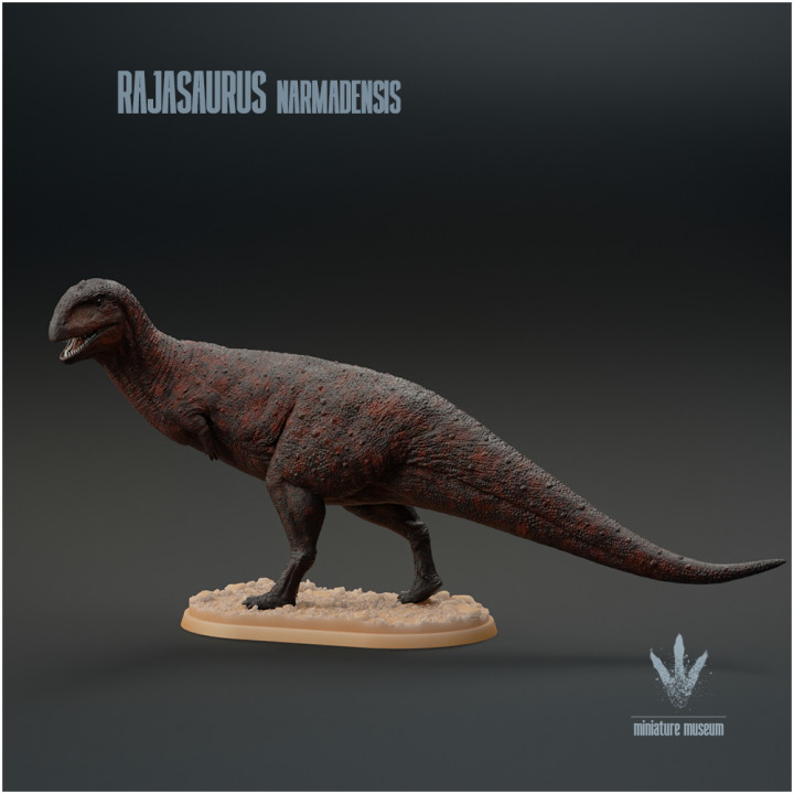 Rajasaurus narmadensis : Regal Lizard image