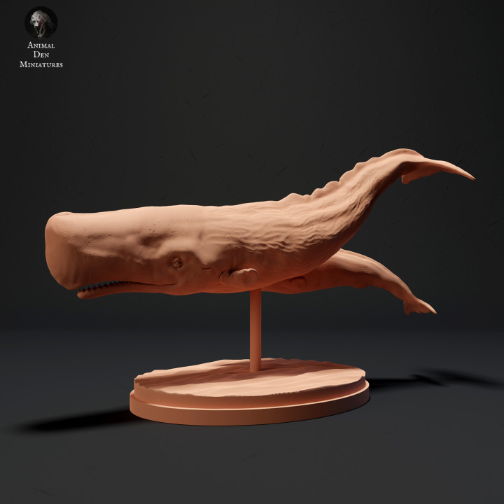 Sperm Whale and Calf