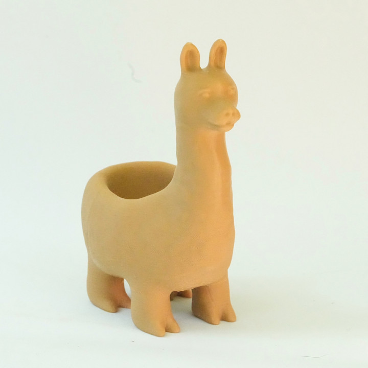 Lama ring holder