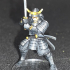 Samurai Swordsman 03 print image