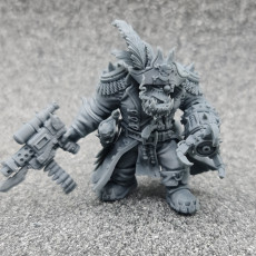 Picture of print of Ork Pirate warboss