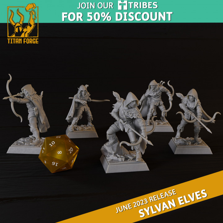 Sylvan Elves Pathfinders image