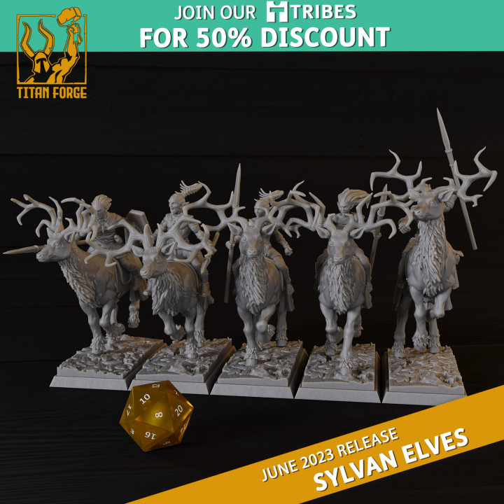 Sylvan Elves Wild Huntsmen image