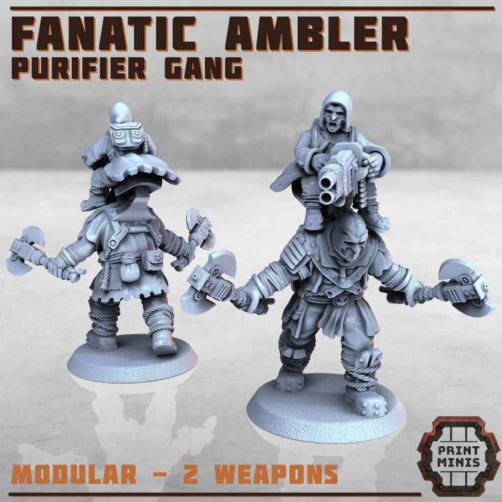 Fanatic Ambler - Purifier Gang image