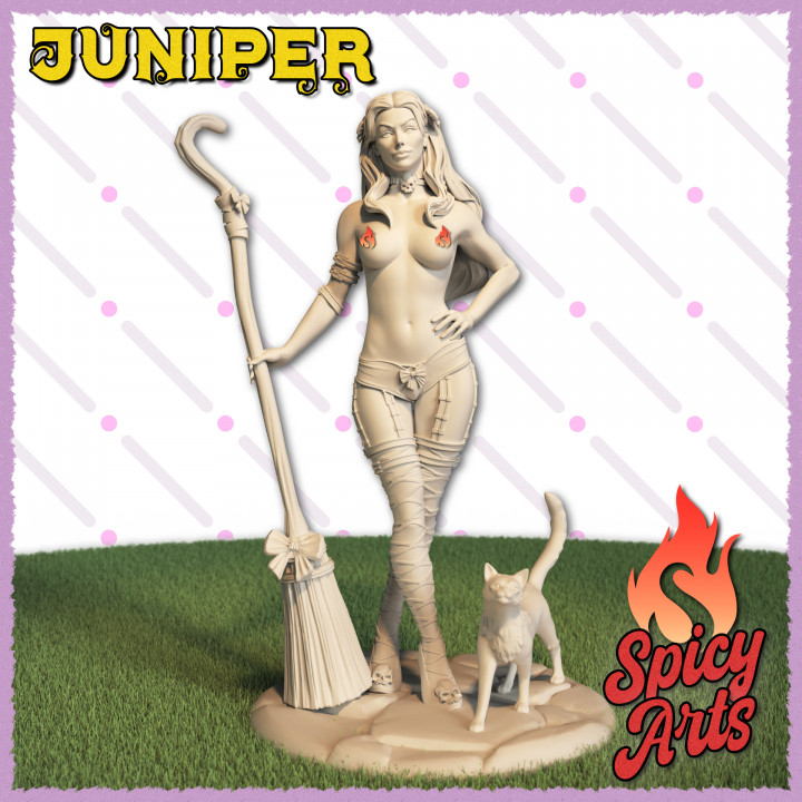 Juniper - (NSFW) Alt Witch Pin-Up image