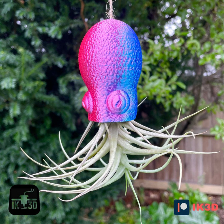 OCTOPUS AIR PLANT HOLDER - VASE image