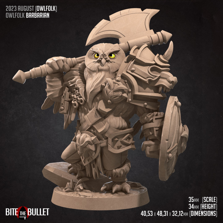 Owlfolk Barbarian (2 Versions) image