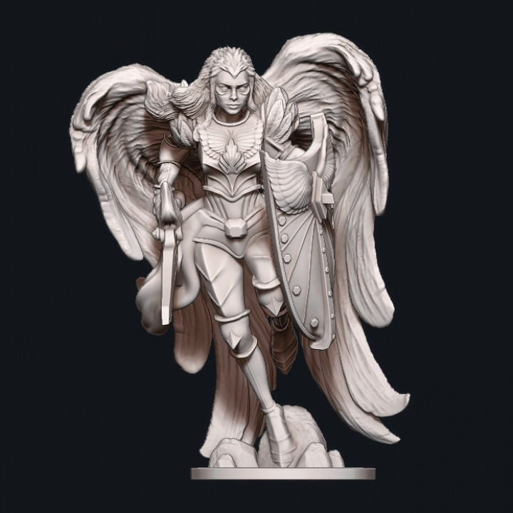 Paladin Angel
