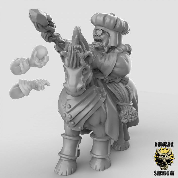 Halfling Mage on Unicorn (Pre Supported) image