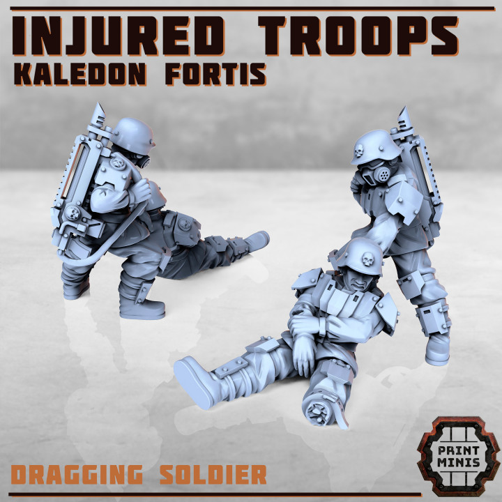 Injured Soldiers - Kaledon Fortis image