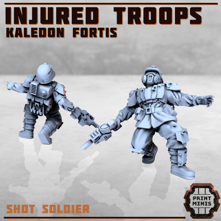 Injured Soldiers - Kaledon Fortis image