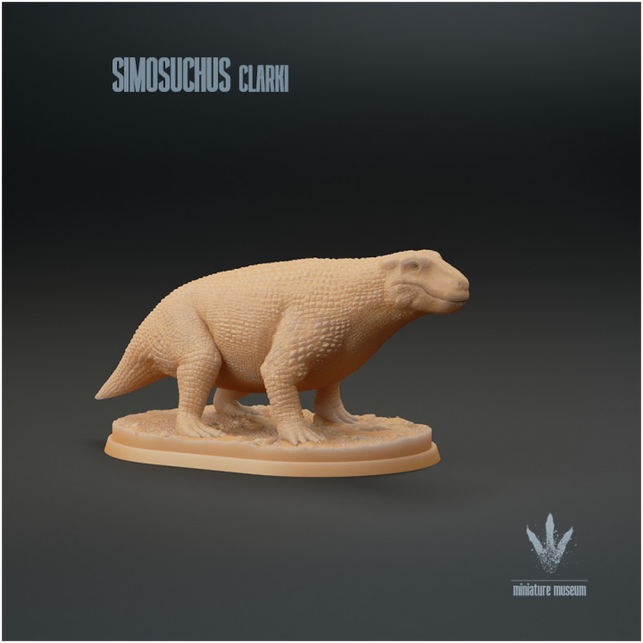 Simosuchus clarki : The Pug-nosed Crocodile image
