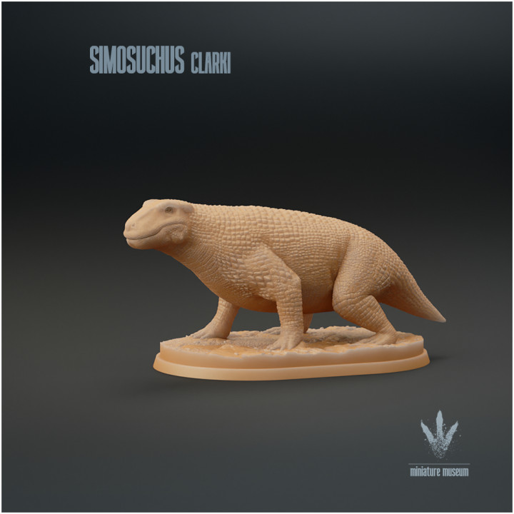 Simosuchus clarki : The Pug-nosed Crocodile image