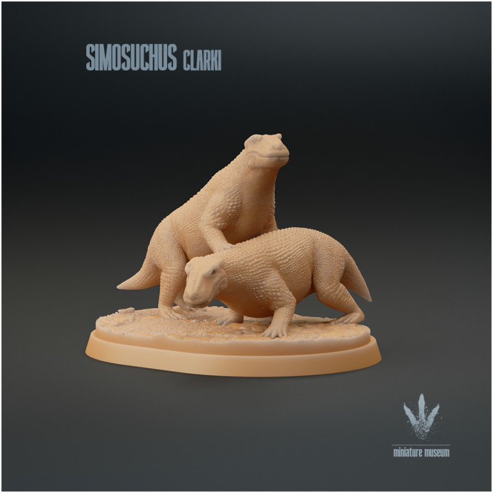 Simosuchus clarki : Couple image