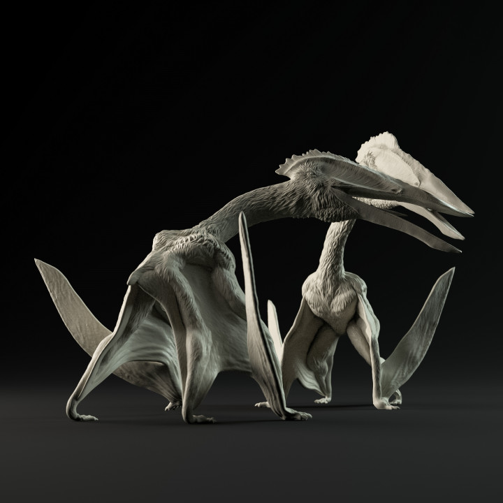 Hatzegopteryx fighting 1-35 scale pre-supported pterosaur image