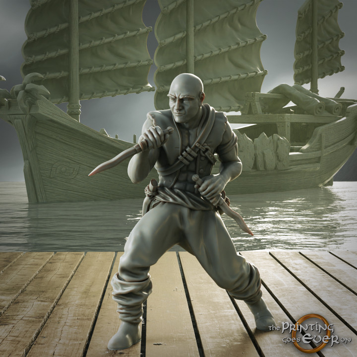Pirate Scoundrel - Presupported image
