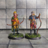 DnD Heroes Elf Ranger Male [Pre-Supported] print image